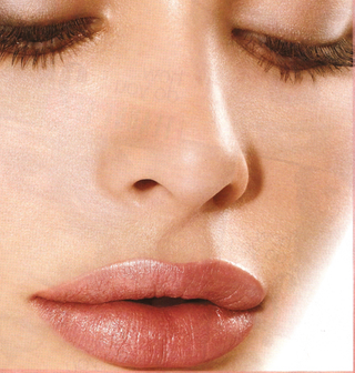 Illustration for article titled Sex Sells. Or Does It? Can You Guess The Products Behind The Porny Ads?